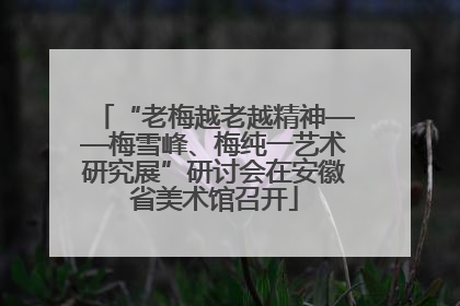 “老梅越老越精神——梅雪峰、梅纯一艺术研究展”研讨会在安徽省美术馆召开