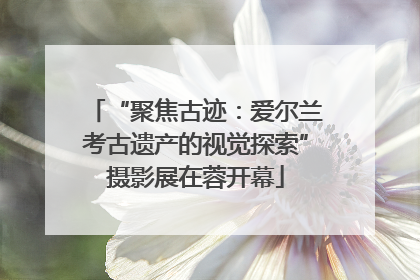 “聚焦古迹：爱尔兰考古遗产的视觉探索”摄影展在蓉开幕