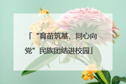 “育苗筑基、同心向党”民族团结进校园