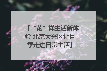 “花”样生活新体验 北京大兴区让月季走进日常生活