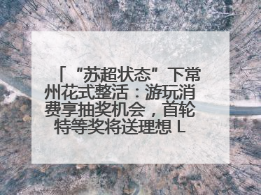“苏超状态”下常州花式整活：游玩消费享抽奖机会，首轮特等奖将送理想 L6 Pro