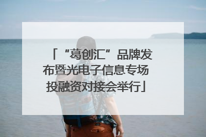 “葛创汇”品牌发布暨光电子信息专场投融资对接会举行