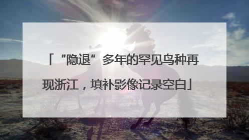 “隐退”多年的罕见鸟种再现浙江，填补影像记录空白