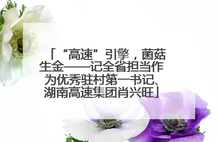 “高速”引擎，菌菇生金——记全省担当作为优秀驻村第一书记、湖南高速集团肖兴旺