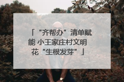 “齐帮办”清单赋能 小王家庄村文明花“生根发芽”
