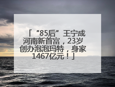 “85后”王宁成河南新首富，23岁创办泡泡玛特，身家1467亿元！