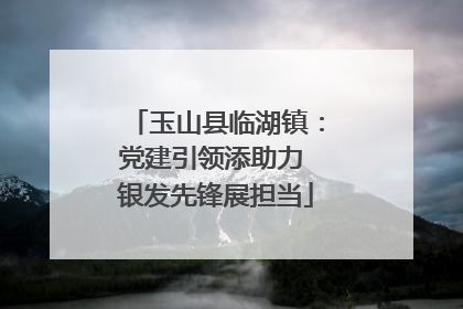 玉山县临湖镇：党建引领添助力 银发先锋展担当