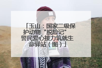 玉山：国家二级保护动物“脱险记” 警民爱心接力筑就生命驿站（图）