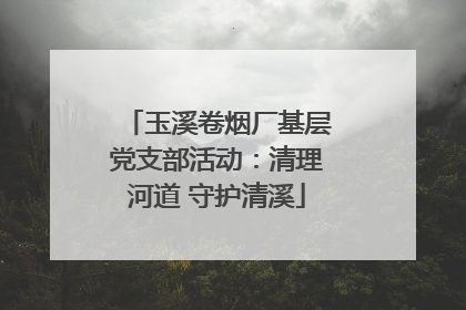玉溪卷烟厂基层党支部活动：清理河道 守护清溪