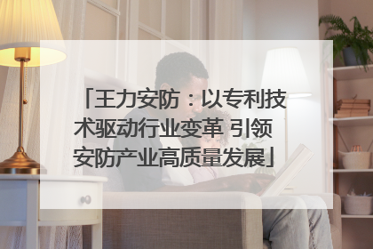 王力安防：以专利技术驱动行业变革 引领安防产业高质量发展