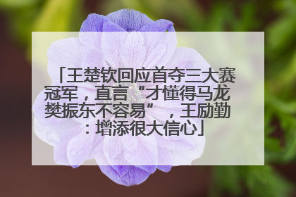 王楚钦回应首夺三大赛冠军，直言“才懂得马龙樊振东不容易”，王励勤：增添很大信心