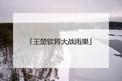 王楚钦将大战雨果