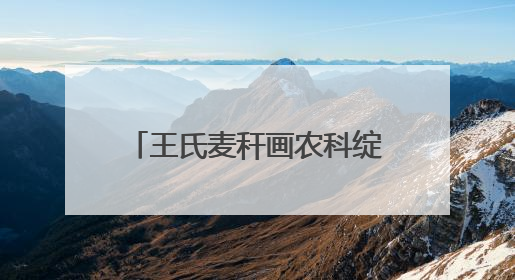 王氏麦秆画农科绽放：传承创新 奏响农耕文化时代强音