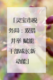 灵宝市税务局：双措并举 赋能干部成长新动能