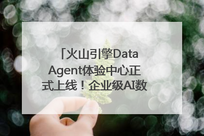 火山引擎Data Agent体验中心正式上线！企业级AI数据专家触手可及