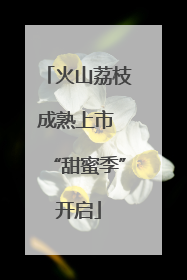 火山荔枝成熟上市 “甜蜜季”开启