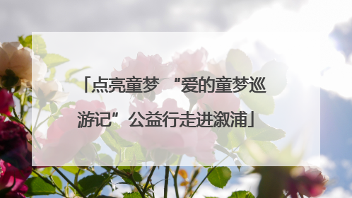 点亮童梦 “爱的童梦巡游记”公益行走进溆浦