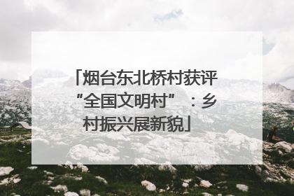 烟台东北桥村获评“全国文明村”：乡村振兴展新貌
