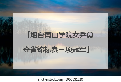 烟台南山学院女乒勇夺省锦标赛三项冠军