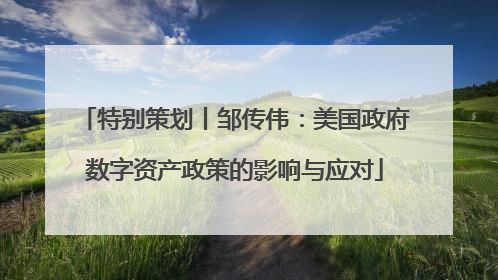 特别策划丨邹传伟：美国政府数字资产政策的影响与应对