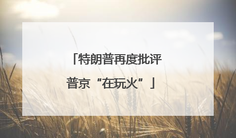 特朗普再度批评普京“在玩火”