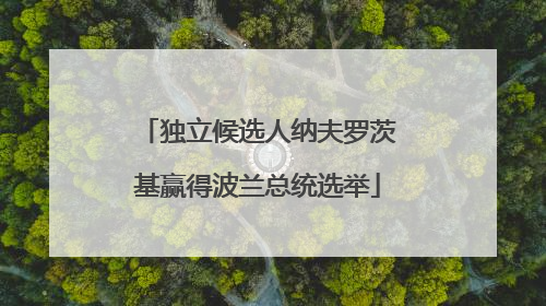 独立候选人纳夫罗茨基赢得波兰总统选举
