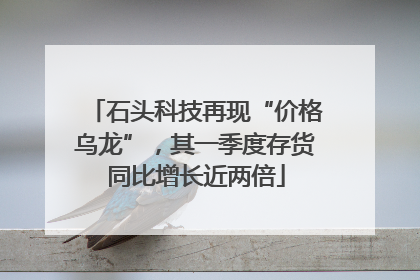 石头科技再现“价格乌龙”，其一季度存货同比增长近两倍