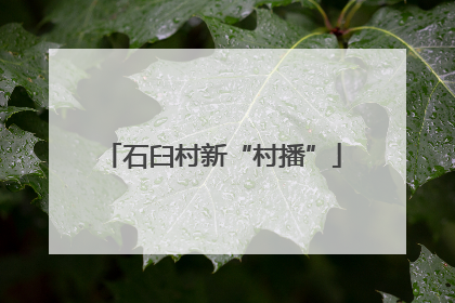 石臼村新“村播”