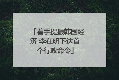 着手提振韩国经济 李在明下达首个行政命令