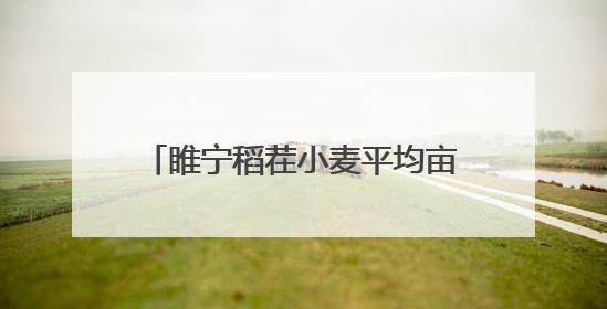 睢宁稻茬小麦平均亩产806.2公斤 刷新全省单产纪录