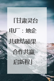甘肃灵台电厂：地企共建结硕果 合作共赢启新程