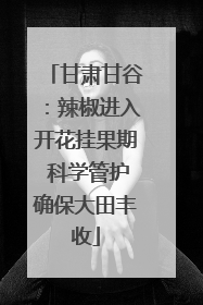 甘肃甘谷：辣椒进入开花挂果期 科学管护确保大田丰收