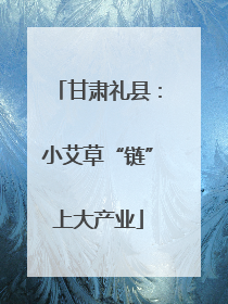 甘肃礼县：小艾草“链”上大产业