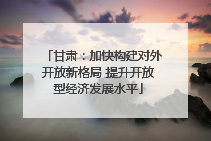 甘肃：加快构建对外开放新格局 提升开放型经济发展水平