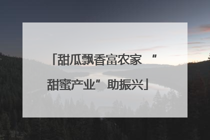 甜瓜飘香富农家 “甜蜜产业”助振兴