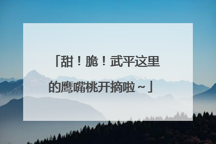 甜！脆！武平这里的鹰嘴桃开摘啦～