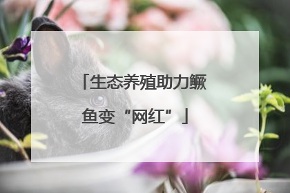 生态养殖助力鳜鱼变“网红”