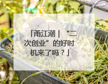 甬江潮｜“二次创业”的好时机来了吗？