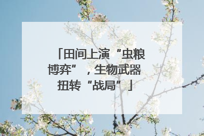 田间上演“虫粮博弈”，生物武器扭转“战局”