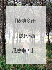 皮薄多汁，北务小西瓜熟啦！