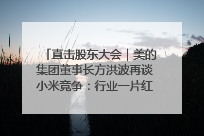 直击股东大会｜美的集团董事长方洪波再谈小米竞争：行业一片红海，打法已固定，无论谁胜都是消耗战
