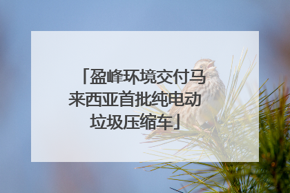 盈峰环境交付马来西亚首批纯电动垃圾压缩车