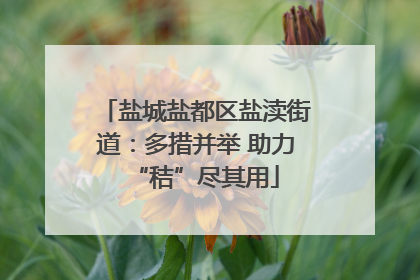 盐城盐都区盐渎街道：多措并举 助力“秸”尽其用