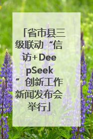 省市县三级联动“信访+DeepSeek”创新工作新闻发布会举行