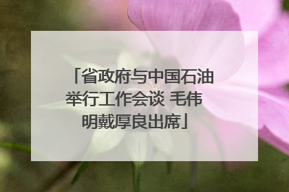 省政府与中国石油举行工作会谈 毛伟明戴厚良出席