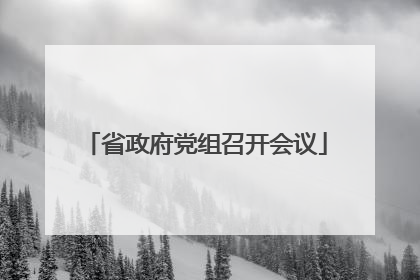省政府党组召开会议