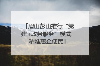 眉山彭山推行“党建+政务服务”模式 精准惠企便民