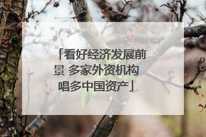 看好经济发展前景 多家外资机构唱多中国资产