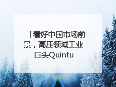 看好中国市场前景，高压领域工业巨头Quintus科技深化本土策略，构建全方位服务亚太区总部