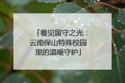 看见留守之光：云南保山特殊校园里的温暖守护